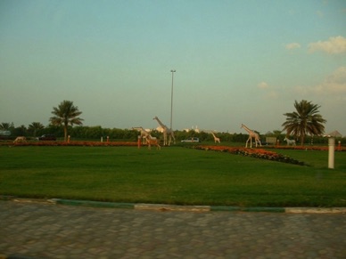 AL  AIN