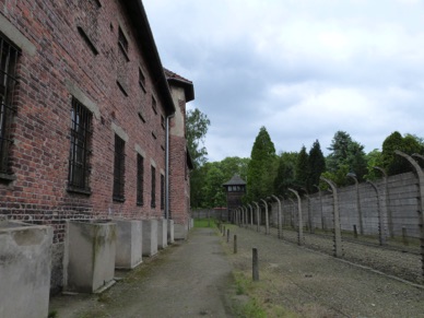 POLOGNE : Auschwitz
(1979)
