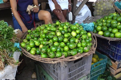 aubergines