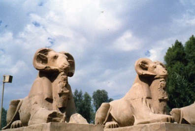 allée de 40 sphinx à tête de bélier avec entre les pattes le pharaon est protégé.