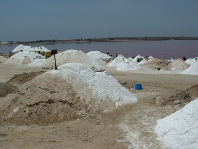 Une partie du sel récolté sert à la conservation du poisson