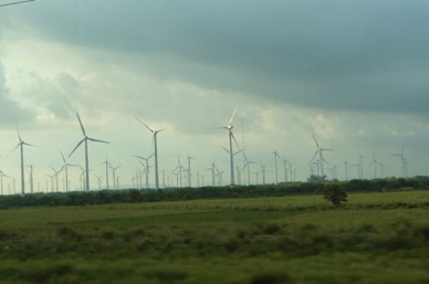 un champ d'éoliennes très important