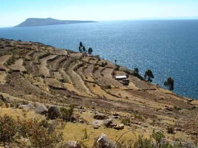 des cultures en terrasses