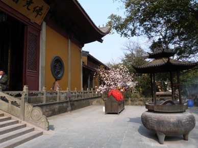 caché dans les montagnes vertes et luxuriantes de Wulin : le hall de médecine du temple