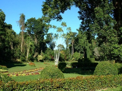 le jardin botanique royal réputé pour sa collection d'orchidées et d'herbes aromatiques