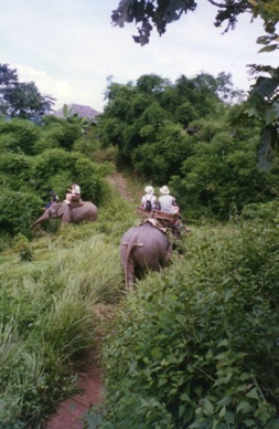 promenade à dos d'éléphants 
dans la nature …