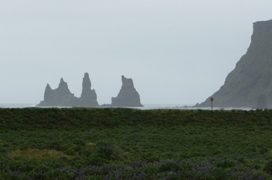 les reynisdrangar sont des pointes de 66 m de haut qui se d&eacute;tachent au large de VIK