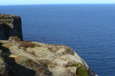 Arr&ecirc;t pour voir des macareux moines