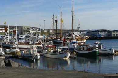 le petit port encombr&eacute; de bateaux de p&ecirc;che