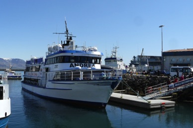 C'est parti pour une promenade en mer de 3 heures