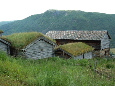 les toits des maisons sont recouverts d'herbe pour protéger du froid