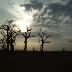 SENEGAL