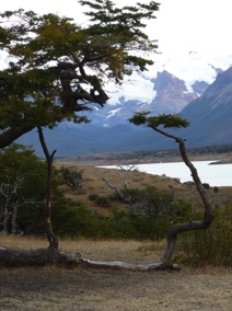 Lac ROCA
