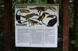 Diff&eacute;rents toucans sont visibles dans ce parc