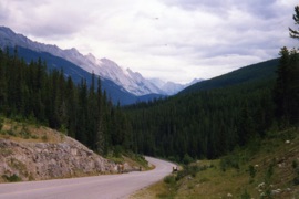 cette route est magnifique !