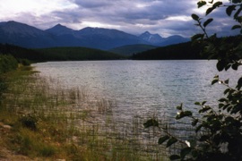 Patricia Lake