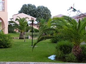 vue sur le jardin