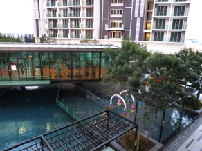 vue sur la piscine