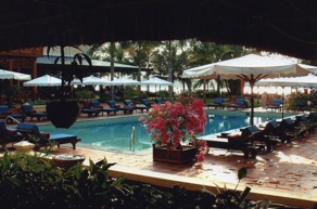 la piscine