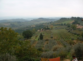 Vignobles de Chianti
