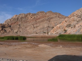 une petite oasis