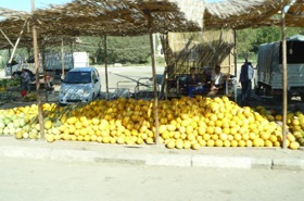 bel &eacute;talage de fruits en bord de route