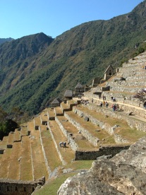 cultures en terrasses