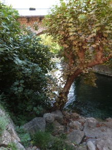 GORGES DU LOUP