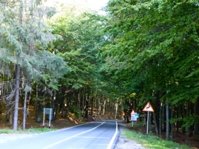 entr&eacute;e dans la r&eacute;gion des Maramures