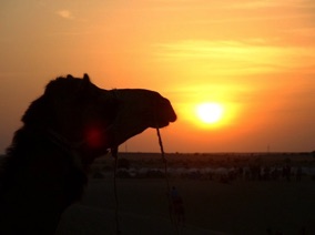 INDE
D&eacute;sert de Bikaner