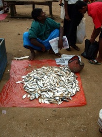 March&eacute; aux poissons,