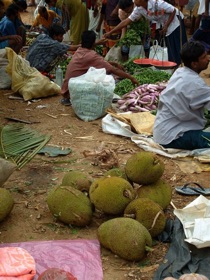 Fruits du jaquier