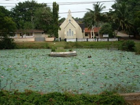 lac aux lotus et au n&eacute;nuphars