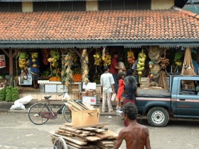 commerce alimentaire
