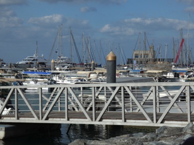 Déjeuner face au port