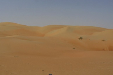j'adore ces étendues de dunes à l'état vierge