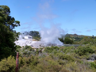 le geyser Pöhutu qui jaillit jusqu'à 20 fois par jour et projette des gerbes d'eau chaude jusqu'à 30 m de haut