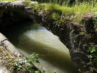 FRANCE
vieux pont cach&eacute; dans la verdure (30)