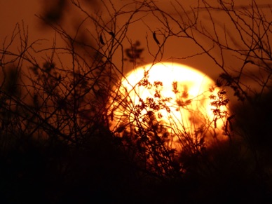 E.A.U. - Duba&iuml;
Lover Lakes