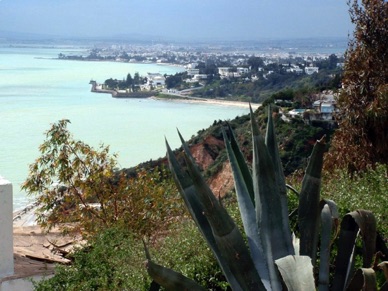 TUNIS au loin