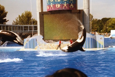 Sea World