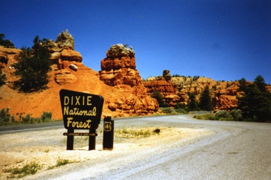 Dixie National Forest