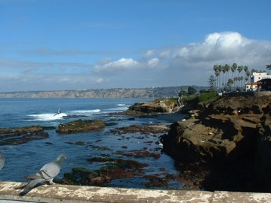 avec sa c&ocirc;te tr&egrave;s agr&eacute;able &agrave; parcourir m&ecirc;me en hiver !