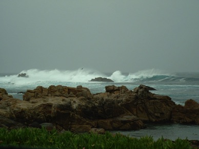 mais nous sommes au mois de janvier !!