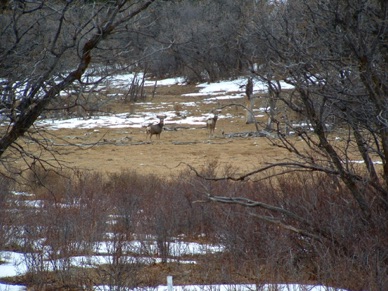 et des habitants curieux de nous voir !!