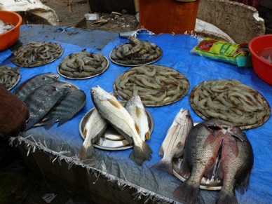 un bel &eacute;tal de poissons