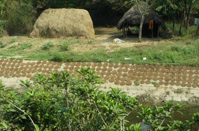bouses s&eacute;chant sur le bord de la route pour &ecirc;tre utilis&eacute;es en combustible