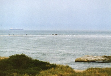 SKAGEN
Pointe de Grenen, point le plus septentrional du Danemark SKAGEN
Pointe de Grenen, point le plus septentrional du Danemark
