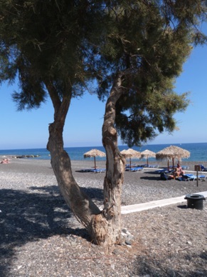 D&eacute;jeuner en bordure de plage