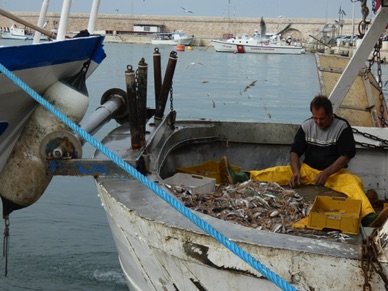 et le plus important port de p&ecirc;che de l'Adriatique sud